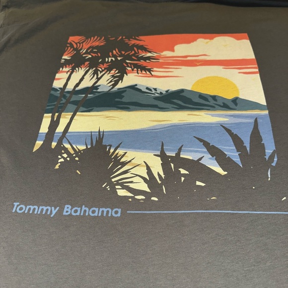 Tommy Bahama Men’s Sunset T-shirt‎ Large EUC! - Picture 2 of 7